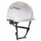 Ergodyne Skullerz 8975 Class C Safety Helmet