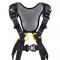 Petzl NEWTON FAST International Harness