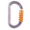 Petzl OK Aluminum Oval Carabiner