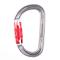 Petzl Am'D Asymmetrical Aluminum Carabiner