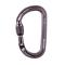 Petzl Am'D Asymmetrical Aluminum Carabiner