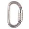 Petzl OXAN Steel Oval Carabiner