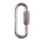 Petzl GO Oval Steel Screw Lock