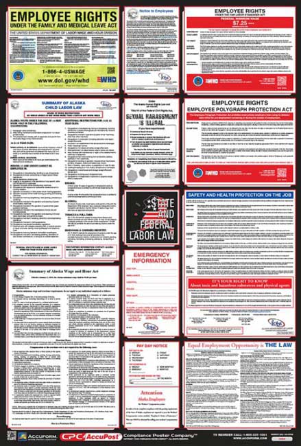 Accuform OSHA Safety Poster:Combination State,Federal&Labor Law Poster from GME Supply