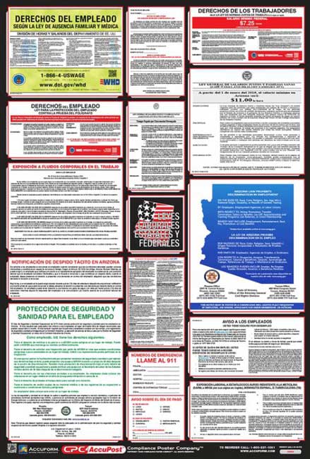 Accuform OSHA Safety Poster:Combination State,Federal&Labor Law Poster from GME Supply