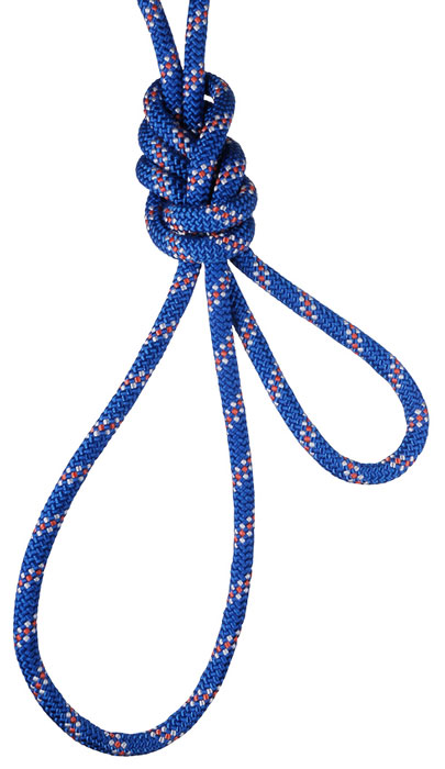 PMI Hudson Classic Pro 1/2 Inch Kernmantle Rope with Unicore Technology from GME Supply