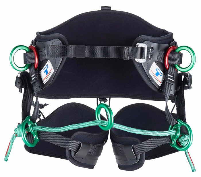 Teufelberger treeMOTION S.light Climbing Harness from GME Supply