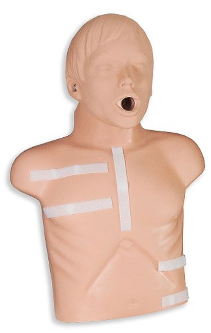 AED Plus Demo Manikin from GME Supply